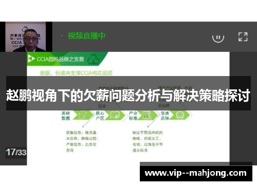 赵鹏视角下的欠薪问题分析与解决策略探讨