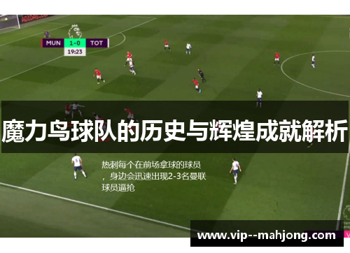 魔力鸟球队的历史与辉煌成就解析